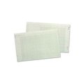 Acco/Wilson Jones Wilson Jones¬Æ Columnar Pad, 11" x 17", 36 Columns, 36 Lines, Green, 100 Sheets/Pad G5036